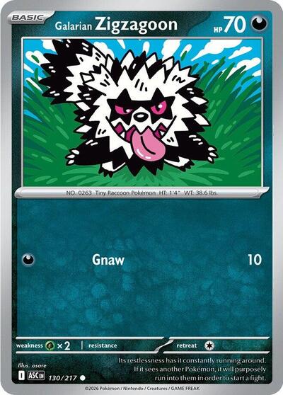ASC: Galarian Zigzagoon