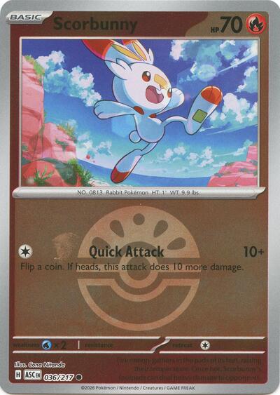ASC: Scorbunny - 036/217 (Friend Ball) (Reverse Holofoil)