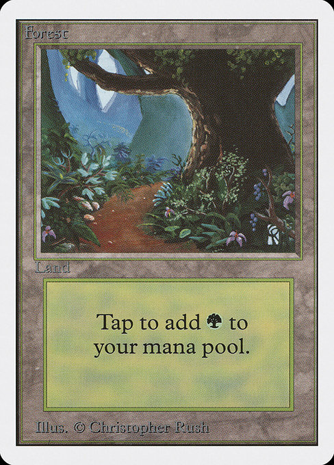 2ED: Forest (B)