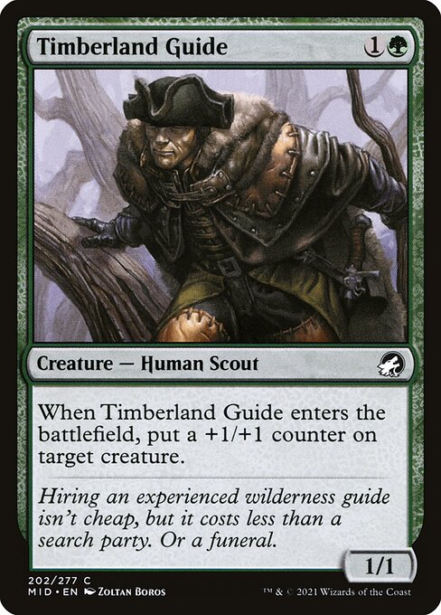 MID: Timberland Guide