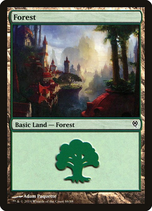 DDM: Forest (86)