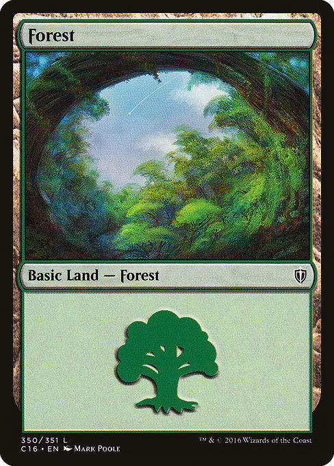 C16: Forest (350)