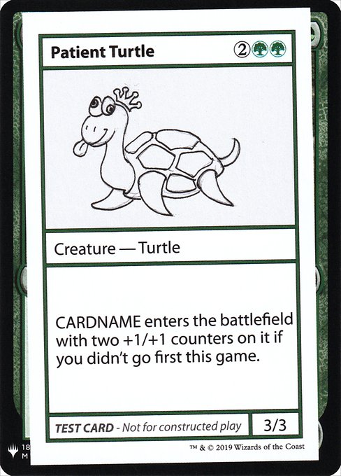 CMB1: Patient Turtle