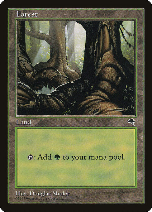 TMP: Forest (Pond)