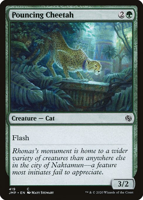 JMP: Pouncing Cheetah