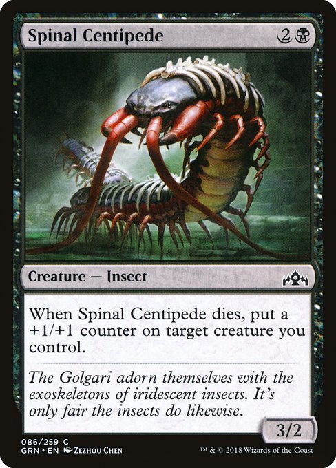 GRN: Spinal Centipede