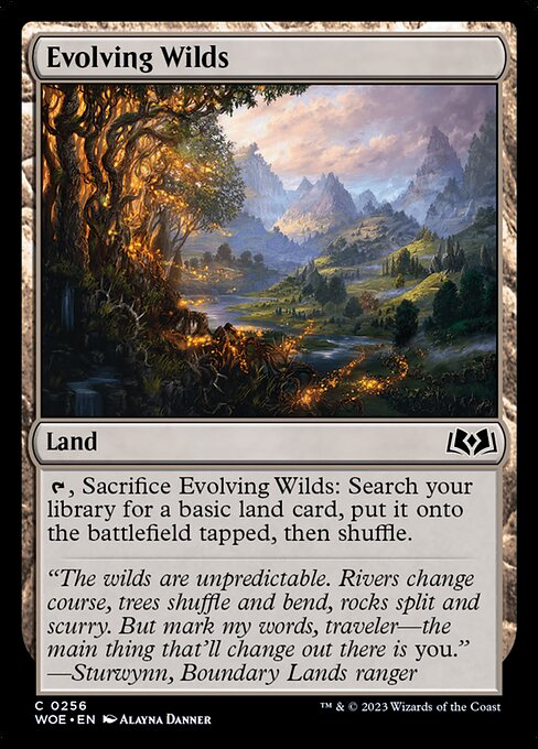 WOE: Evolving Wilds (Foil)