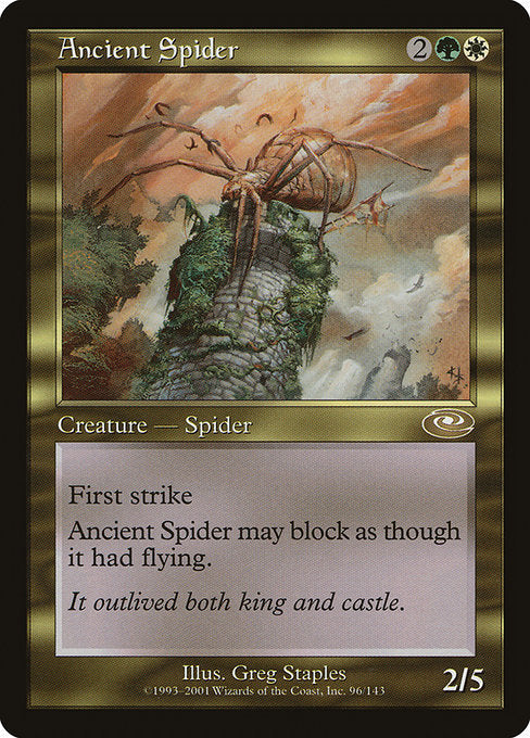 PLS: Ancient Spider