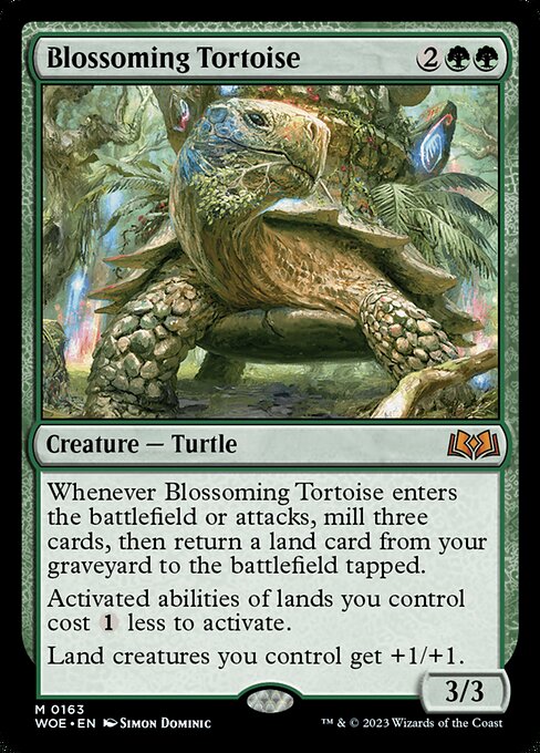 WOE: Blossoming Tortoise