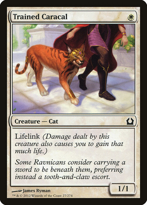 RTR: Trained Caracal (Foil)