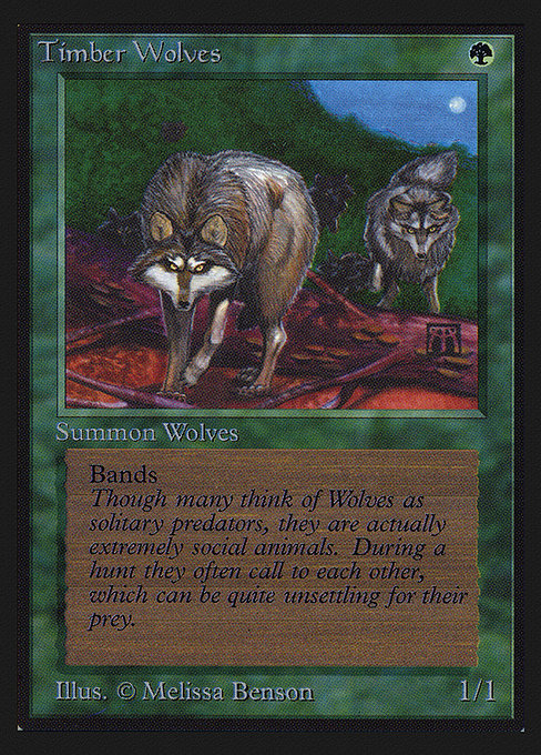 CEI: Timber Wolves (IE)