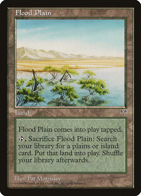 MIR: Flood Plain