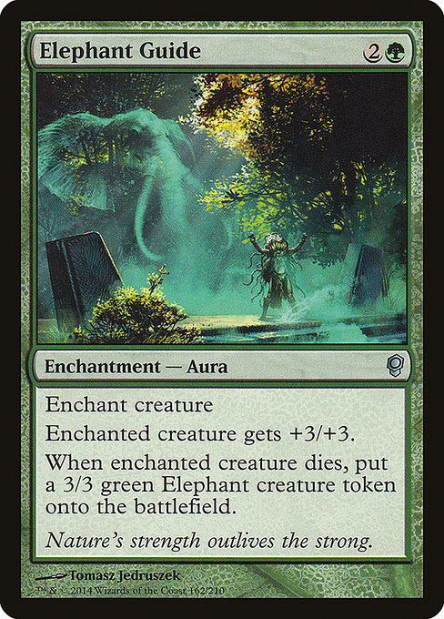 CNS: Elephant Guide
