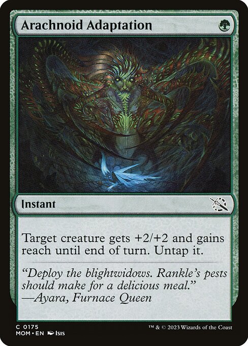 MOM: Arachnoid Adaptation