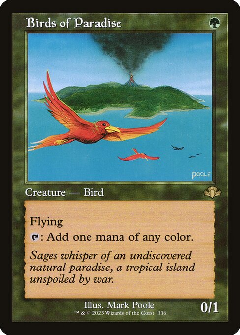 DMR: Birds of Paradise (Retro Frame)