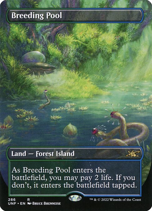 UNF: Breeding Pool (Borderless) (Foil)