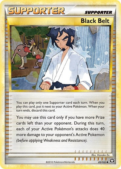 TM: Black Belt (Reverse Holofoil)