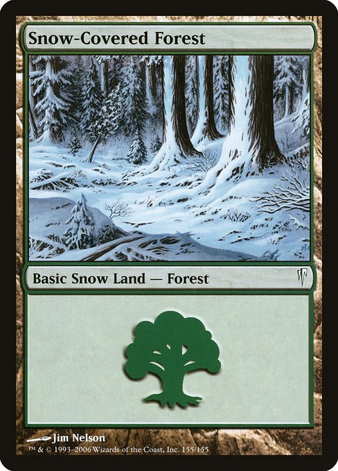 CSP: Snow-Covered Forest