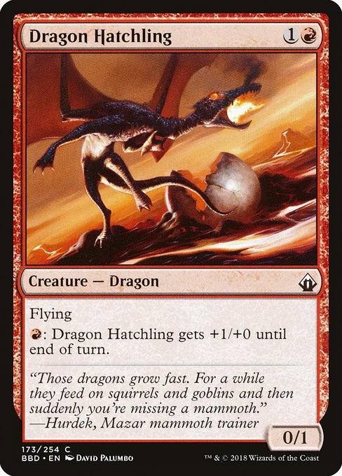 BBD: Dragon Hatchling (Foil)