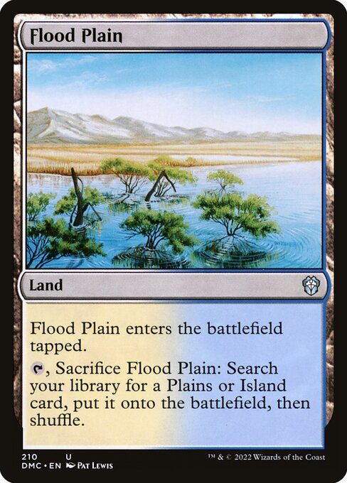 DMC: Flood Plain