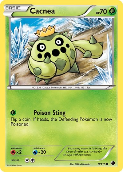 PLF: Cacnea