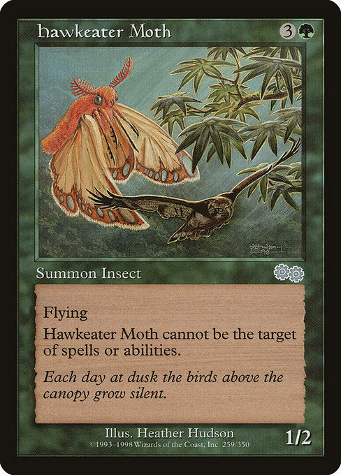 USG: Hawkeater Moth