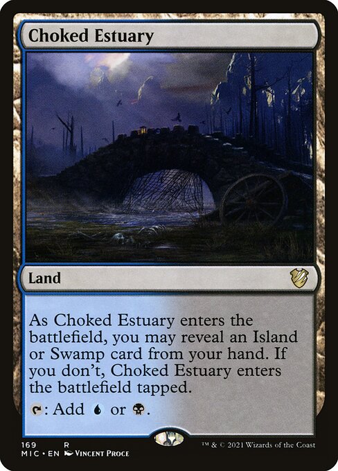 MIC: Choked Estuary