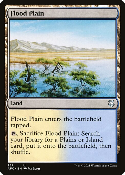AFC: Flood Plain