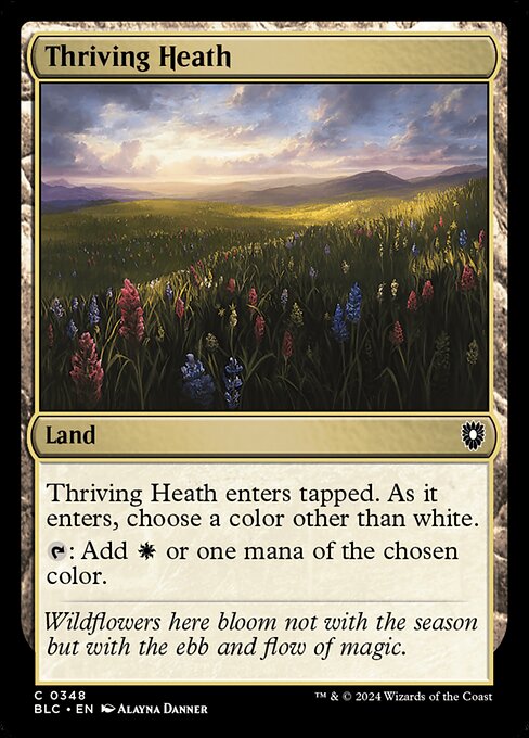 BLC: Thriving Heath