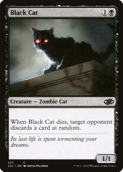 J22: Black Cat