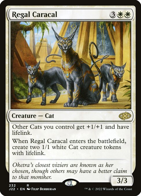 J22: Regal Caracal