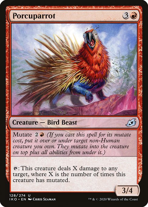 IKO: Porcuparrot