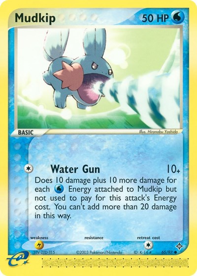 DR: Mudkip