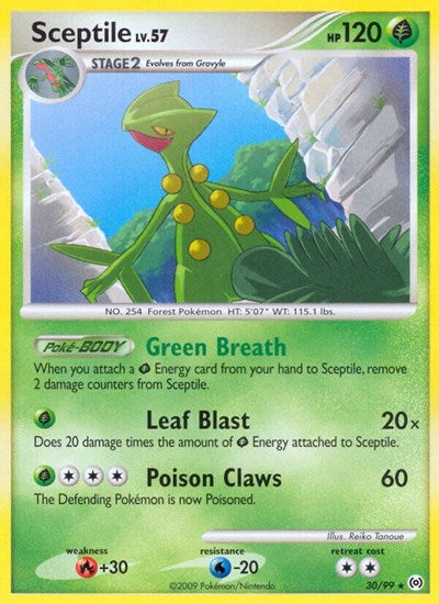 AR: Sceptile (30) (Reverse Holofoil)