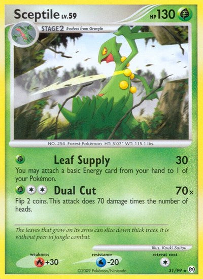 AR: Sceptile (31) (Reverse Holofoil)