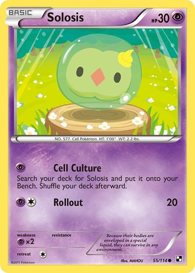 BLW: Solosis