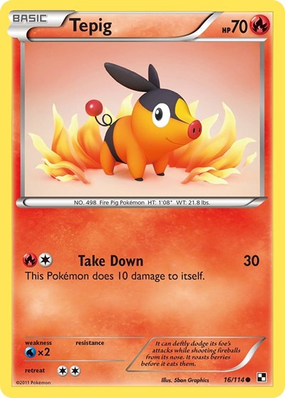 BLW: Tepig (16)