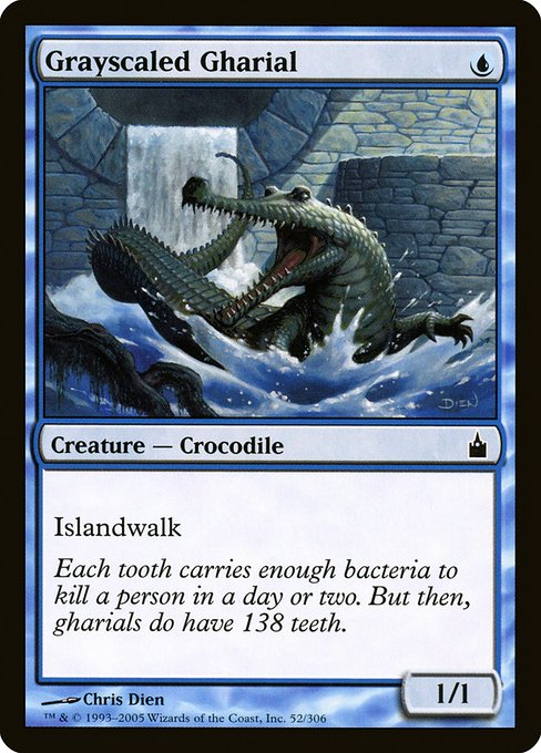 RAV: Grayscaled Gharial