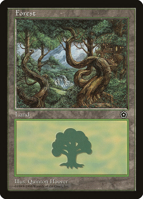 P02: Forest (151)