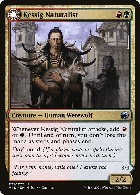 MID: Kessig Naturalist