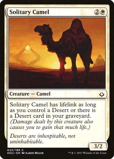 HOU: Solitary Camel