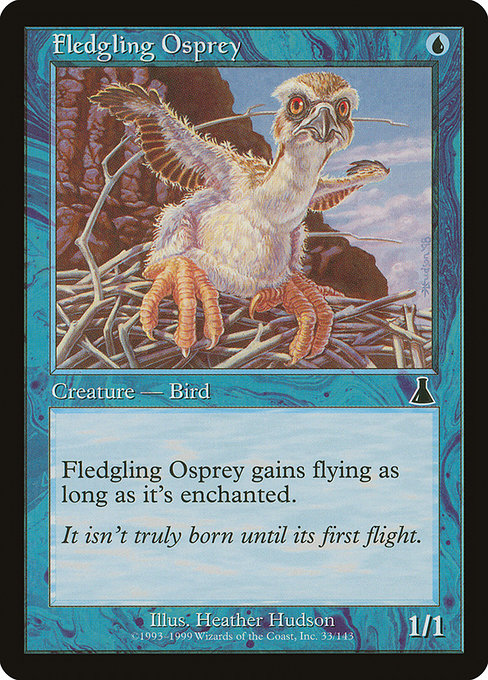 UDS: Fledgling Osprey (Foil)
