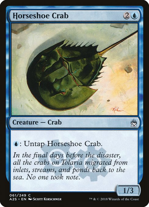 A25: Horseshoe Crab