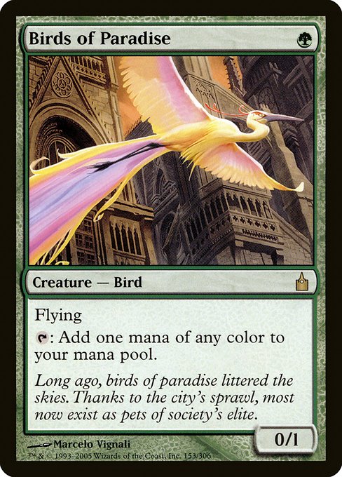 RAV: Birds of Paradise