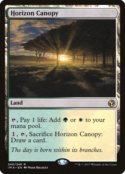 IMA: Horizon Canopy