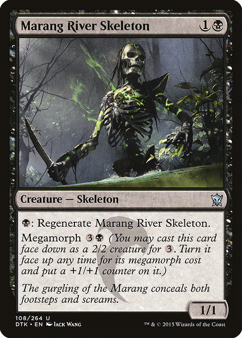 DTK: Marang River Skeleton
