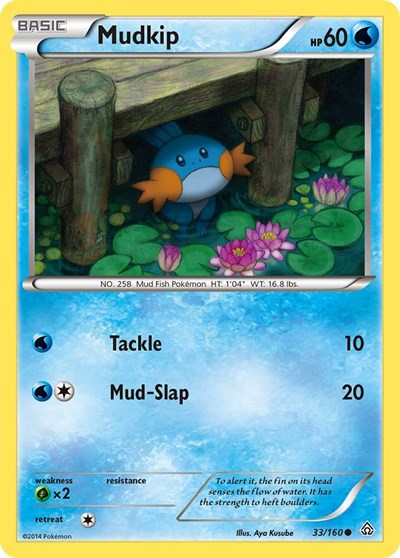 PRC: Mudkip (Reverse Holofoil)