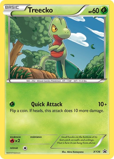 PR: Treecko - XY36 (Holofoil)
