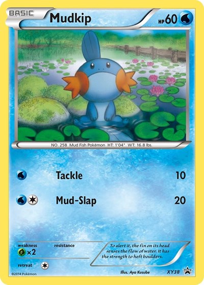 PR: Mudkip - XY38 (Holofoil)
