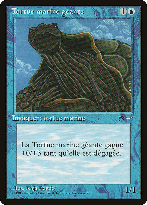 REN: Giant Tortoise (French) - "Tortue marine geante"
